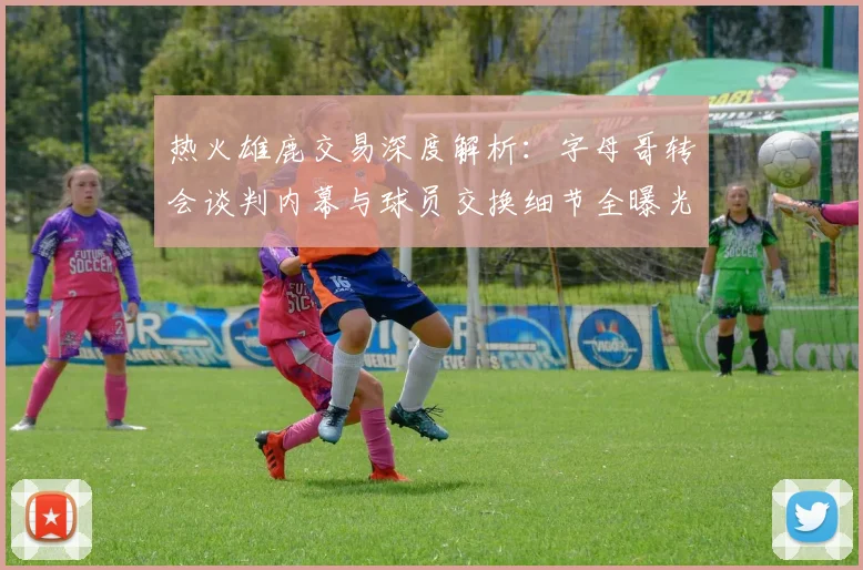 热火雄鹿交易深度解析:字母哥转会谈判内幕与球员交换细节全曝光